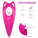 AOA TOYS Vibrators