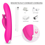 AOA TOYS Dildos