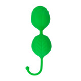 AOA TOYS Sex Toys