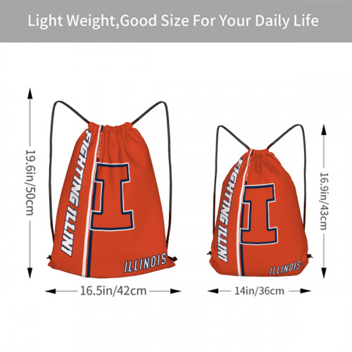 Big Ten Illinois Fighting Illini Edition Drawstring Backpack Sports Gym Bag