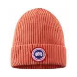 Stretch Goose Beanie Ski Hat Winter  Knitted Hat