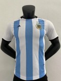 2022 Qatar World Cup Argentina National Team Jersey custom name + number