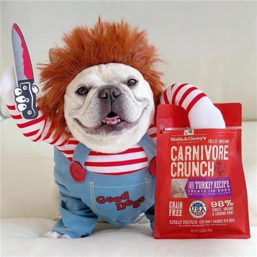 🔥2020 NEWEST🔥 DEADLY DOLL CHUCKY DOG & CAT PET COSTUME