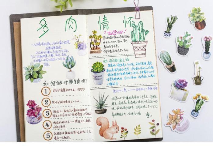 50pcs Succulent stickers pack, Journaling,Planner,bullet journal,Diary Stickers, Colourful stickers