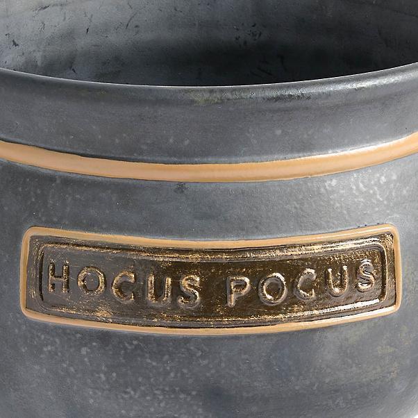 Last Day 50% OFF-Hocus Pocus Serving Cauldron with Ladle