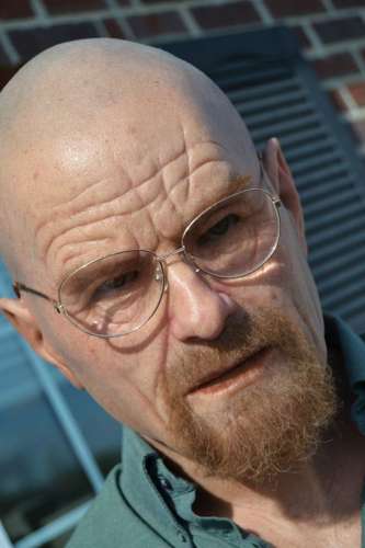 Walter White Disguise Mask