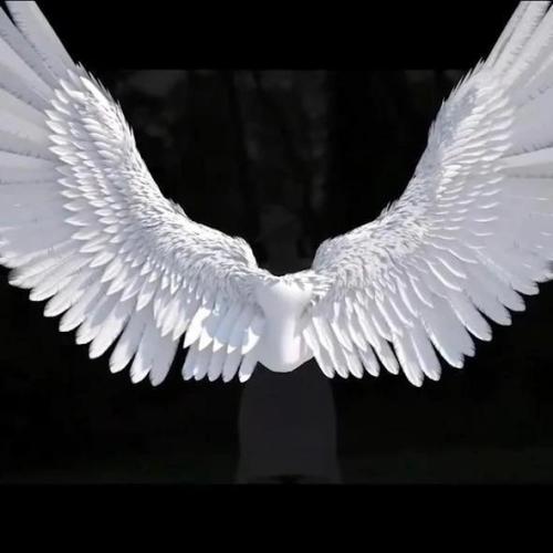 50% OFF🎃🎃Halloween 3D Angel Devil Big Wings