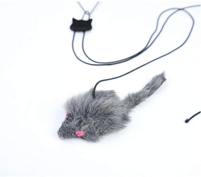 A-Door-Able Bouncing Mouse Cat Toy