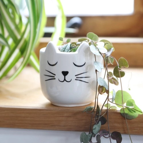 Hand Painted Ceramic Planter Pots \ Watering Can - Spring Gift Ideas