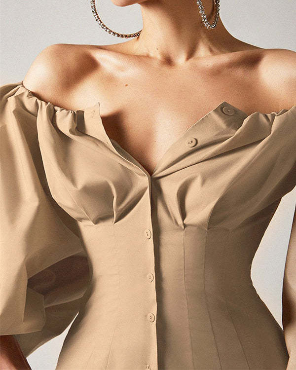 Design Sense Long-sleeved Puff Puff Sleeves Leak-shoulder Shirt Top