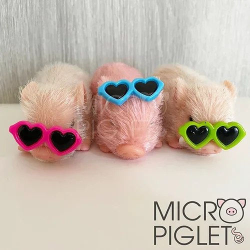 Micro Piglet miniature Sunglasses