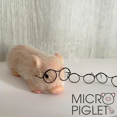 Micro Piglet miniature glasses
