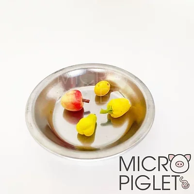 Micro Piglet metal feed bowl