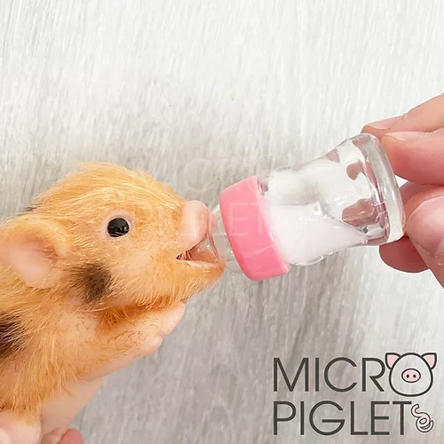 New Born collectable Piglet Baby Bottle