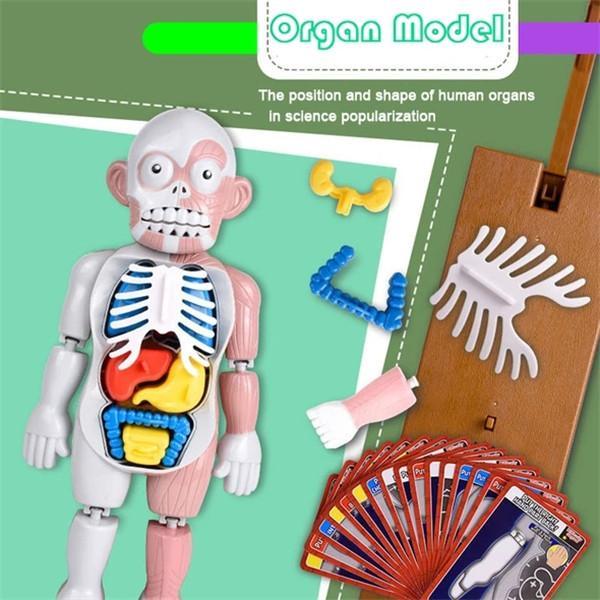 Mannequin Assembly Skeleton Scary Halloween Ghost Festival Horror Spoof Gift Tricky Decompression Party Desktop Toys