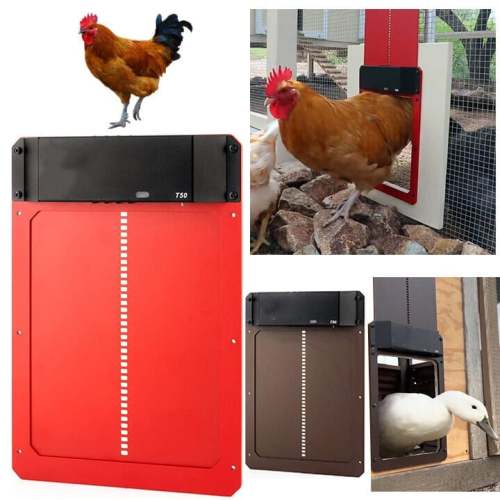 (🔥Hot Sale)-Poultry Farm Automatic Chicken House Door