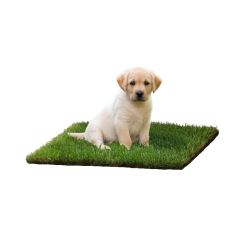 🎄Christmas Hot Sale 50% OFF - DOG LAWN