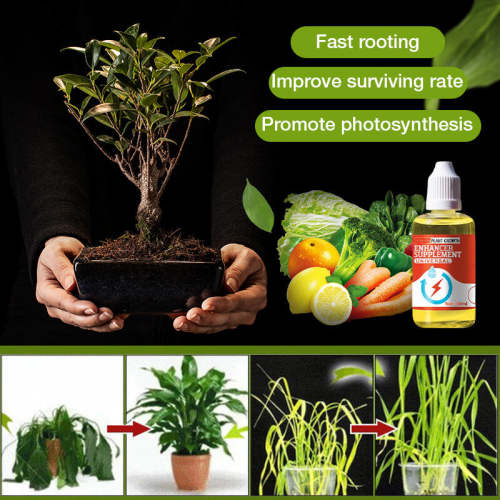 Plant Growth Enhancer Supplement(50% OFF)