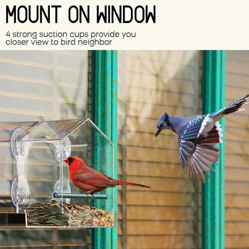 🔥Mother's Day Early Sale-[SAVE 50% OFF]--Window Bird Feeder for Outside