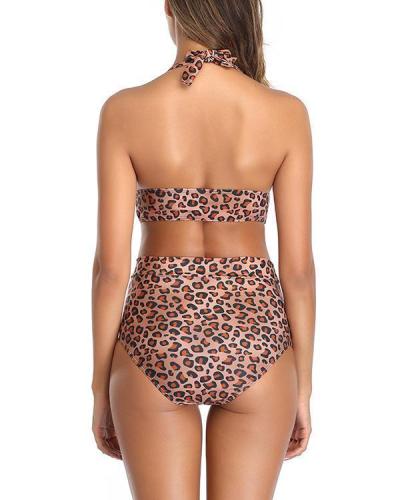 Plus size Fashion Leopard Print Sexy Bikini Set