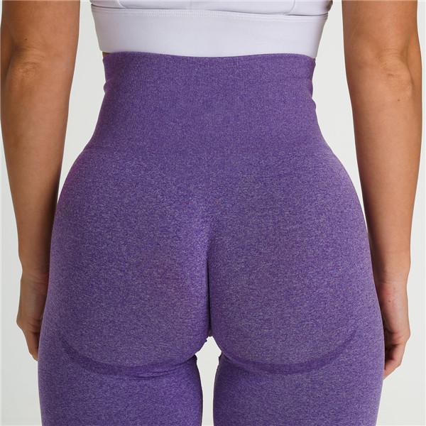 Yoga Shorts Fitness Seamless Tummy Control Gym Shorts