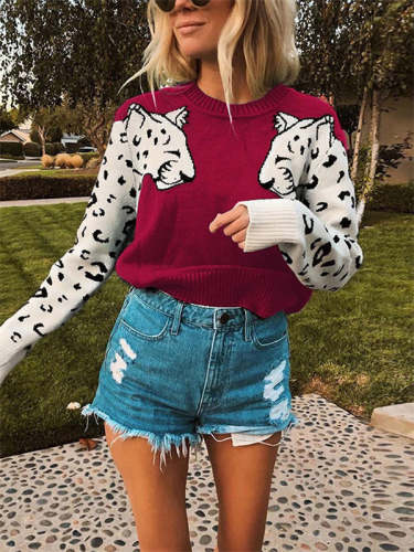 Leopard Sleeve Color Block Knitting Sweater