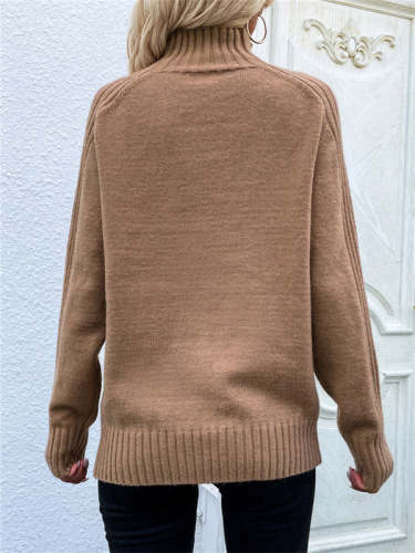 Solid Color Slim Turtleneck Sweater