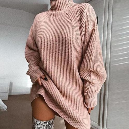 Daily Raglan Sleeves Turtleneck Sweater Dress