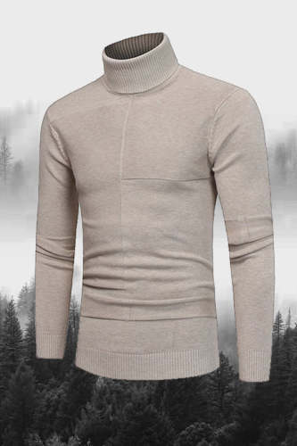 Solid Color Turtleneck Sweater