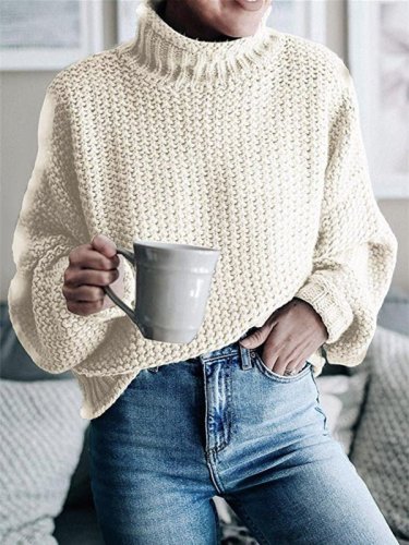 Solid Turtleneck Long Sleeve Pullover Sweater