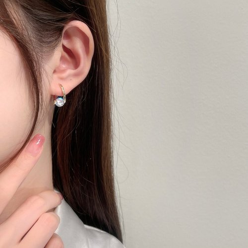 Shiny Earings