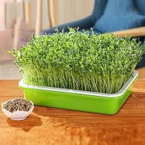 Indoor Gardening Double-layer Seedling Tray