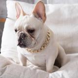 Gold Chain Pets Safety Collar (Adjustable Length)