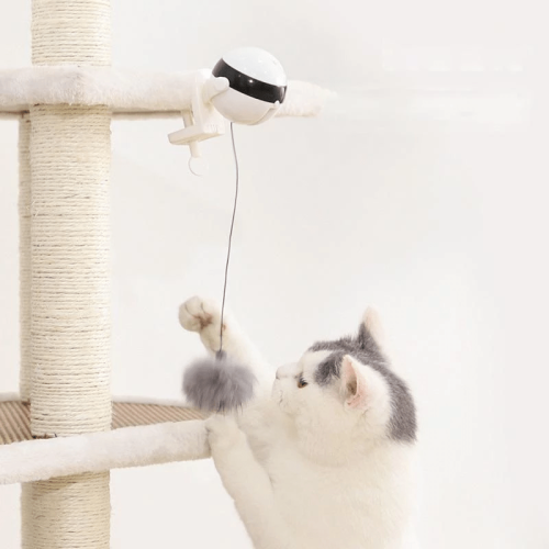 Self Playing Cat Toy