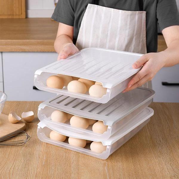 Egg Storage Box-Simple Style