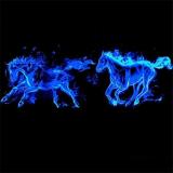 BLUE FLAME HORSE
