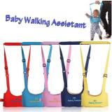 Adjustable Baby Walking Assistant