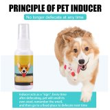 PET TOILET TRAINING AID (TODAY!💖BUY 1 GET 1 FREE)