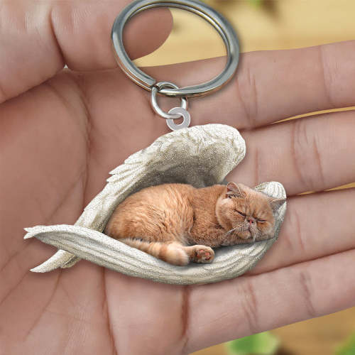 Persian Cat Sleeping Angel Acrylic Keychain