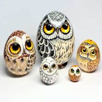 New Owl Nesting Egg