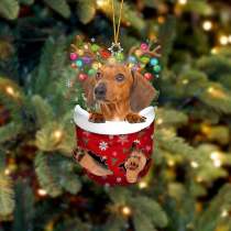 RED Dachshund In Snow Pocket Christmas Ornament