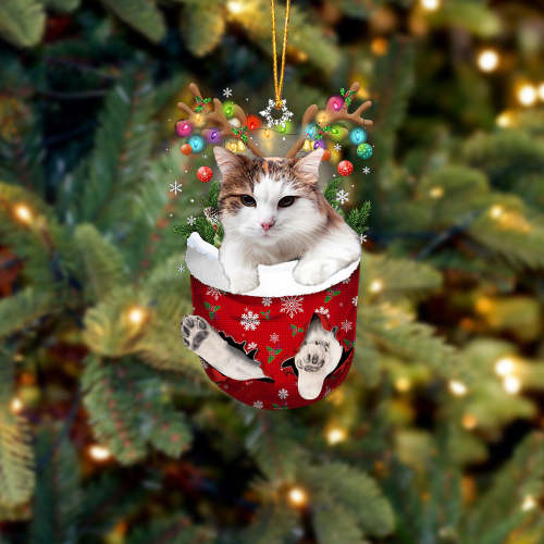 Cat 29 In Snow Pocket Christmas Ornament