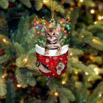 Cat 10 In Snow Pocket Christmas Ornament