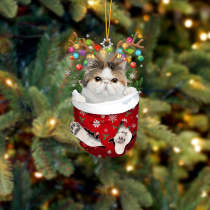 Cat 8 In Snow Pocket Christmas Ornament