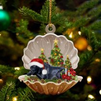 Black Labrador Retriever-Sleeping Pearl in Christmas Two Sided Ornament
