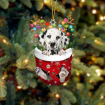 Dalmatian In Snow Pocket Christmas Ornament