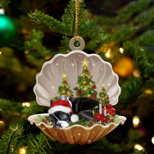 Boston Terrier3-Sleeping Pearl in Christmas Two Sided Ornament