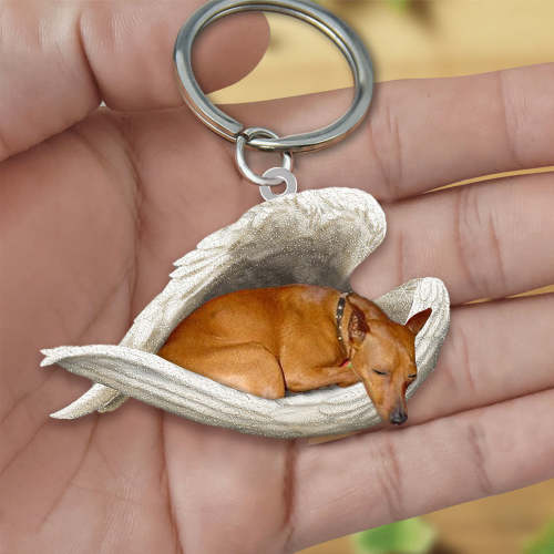 Dog Sleeping Angel Acrylic Keychain | Shop Now
