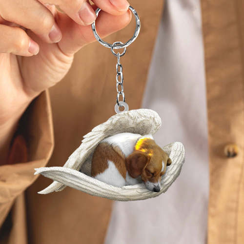 Dog Sleeping Angel Acrylic Keychain | Shop Now