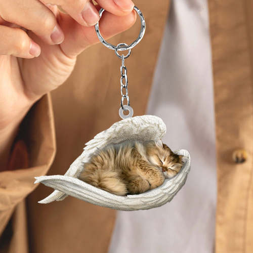 British Longhair Cat Sleeping Angel Acrylic Keychain | Shop Now